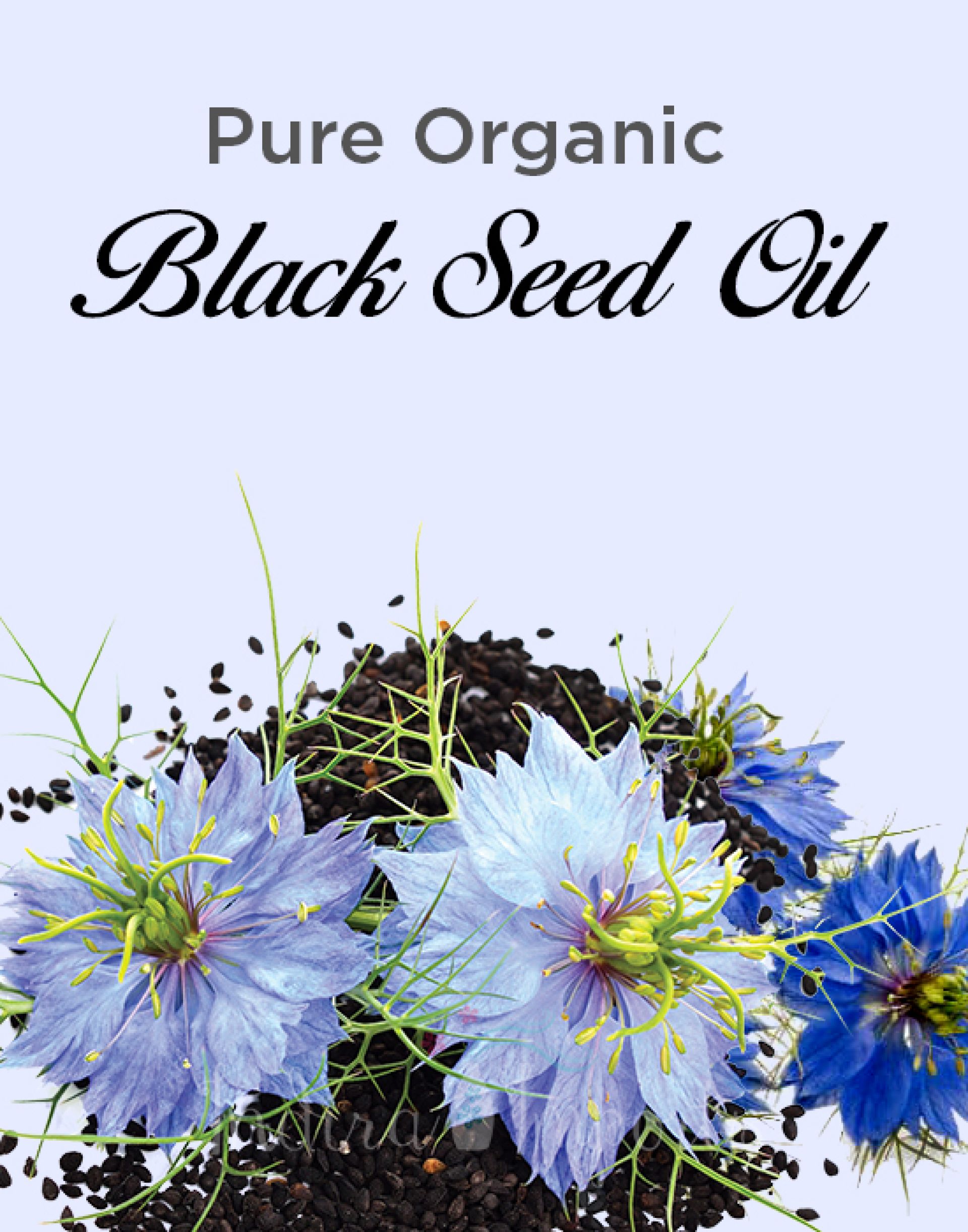 100% Pure Organic Black Seed Oil