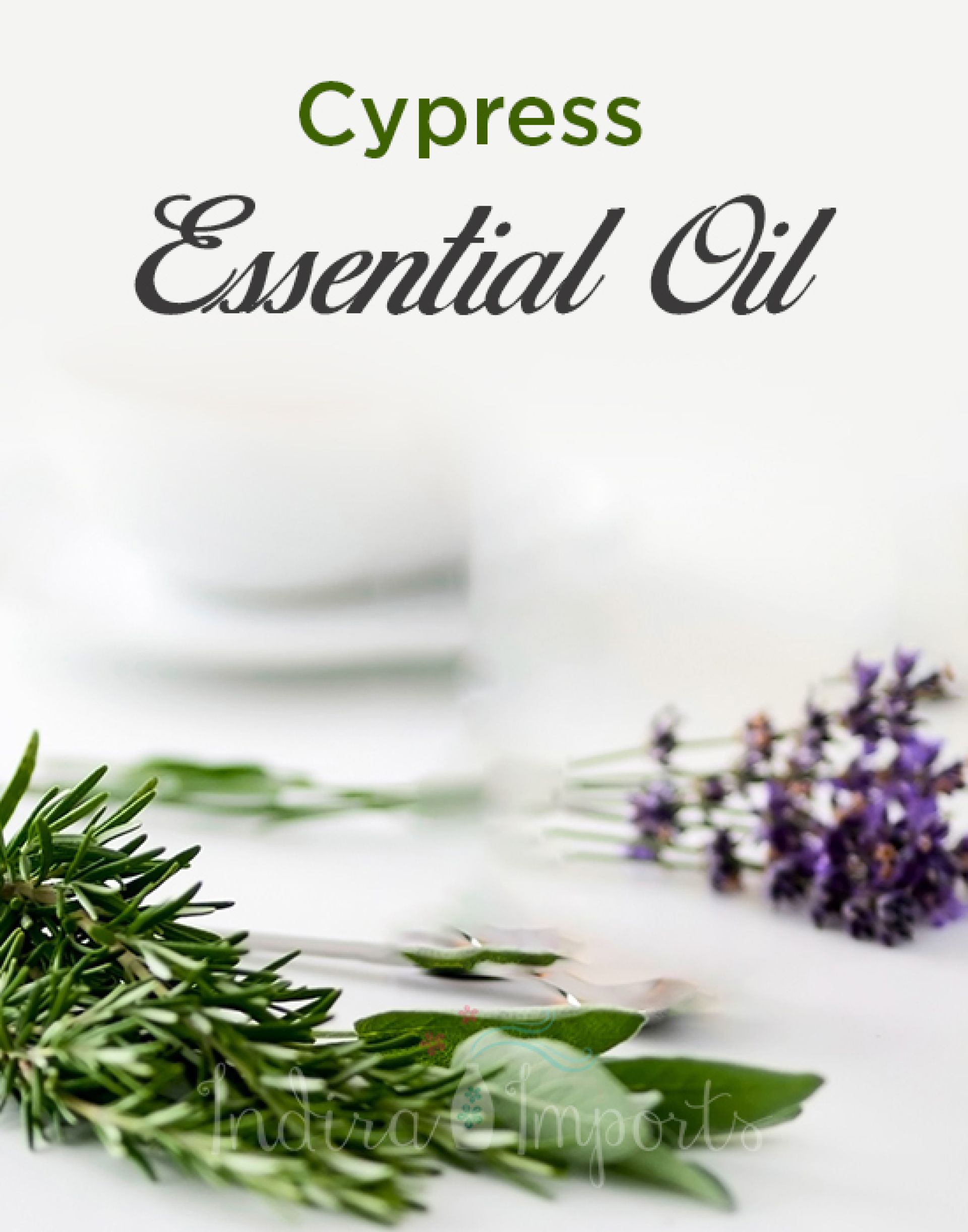 Cypress  Essential Oil