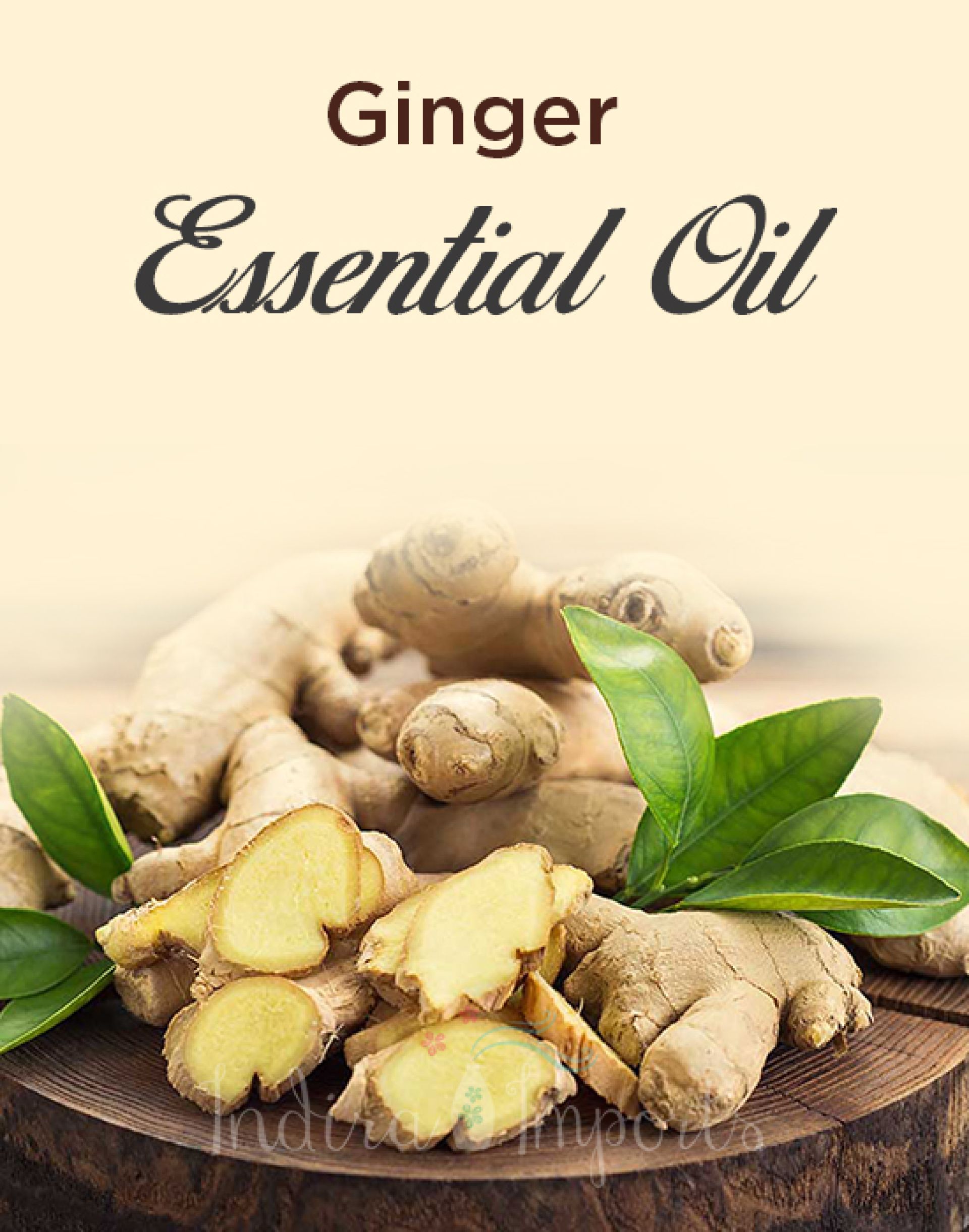 Ginger Essential Oil