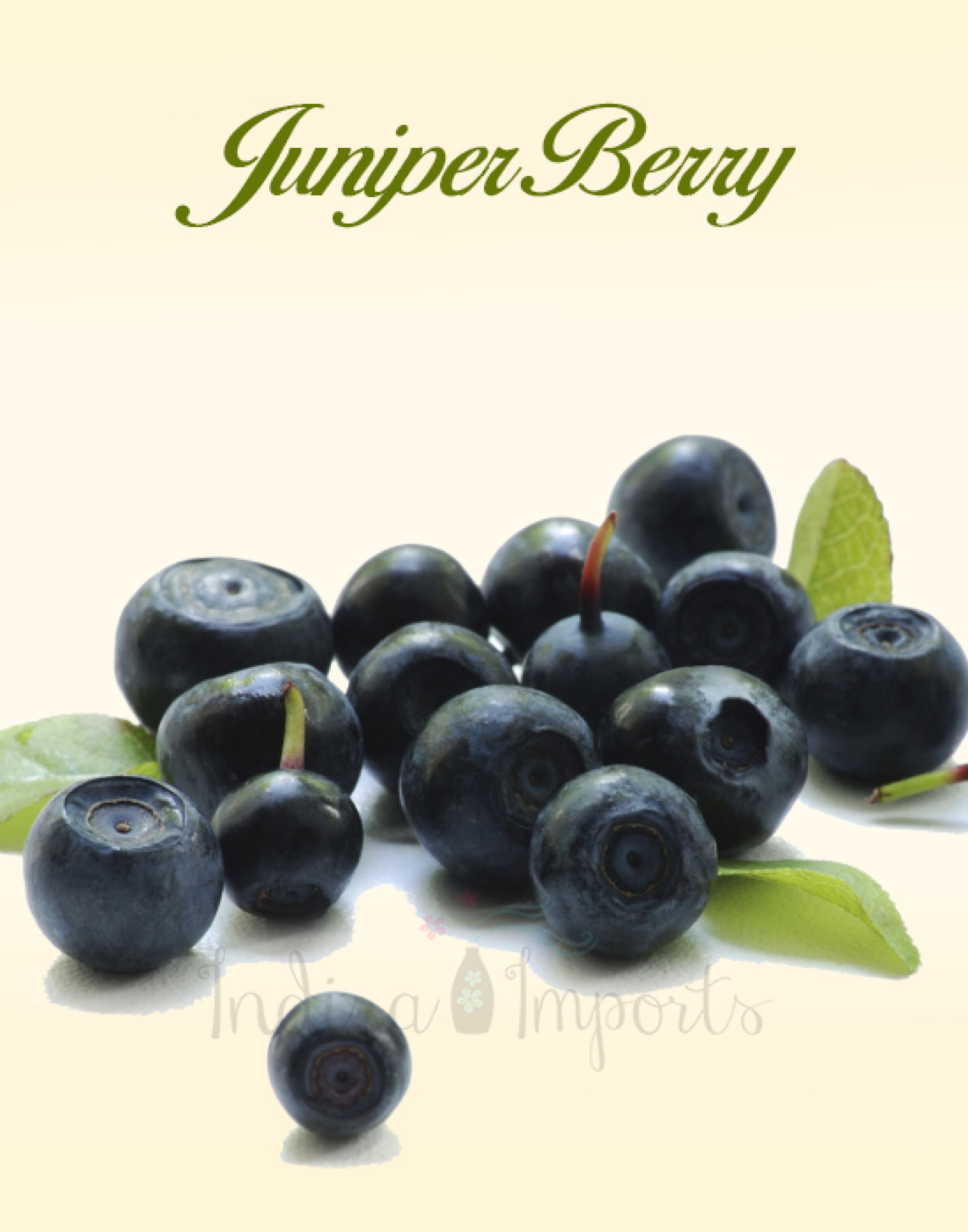 Juniper Berry