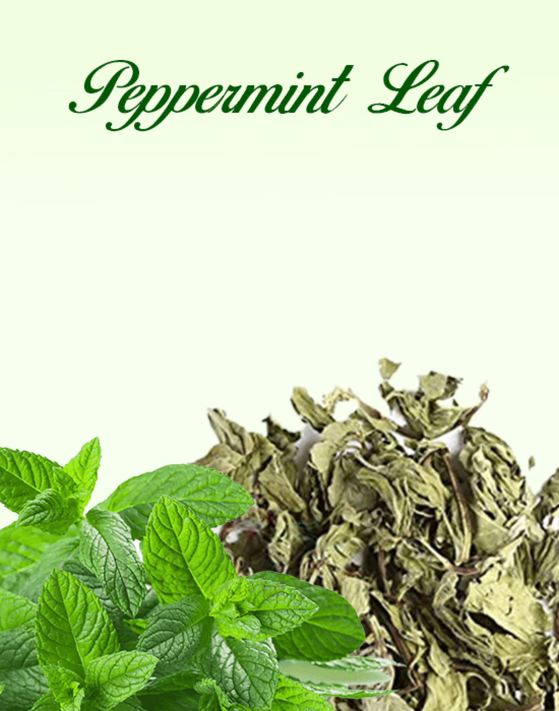 Peppermint Leaf