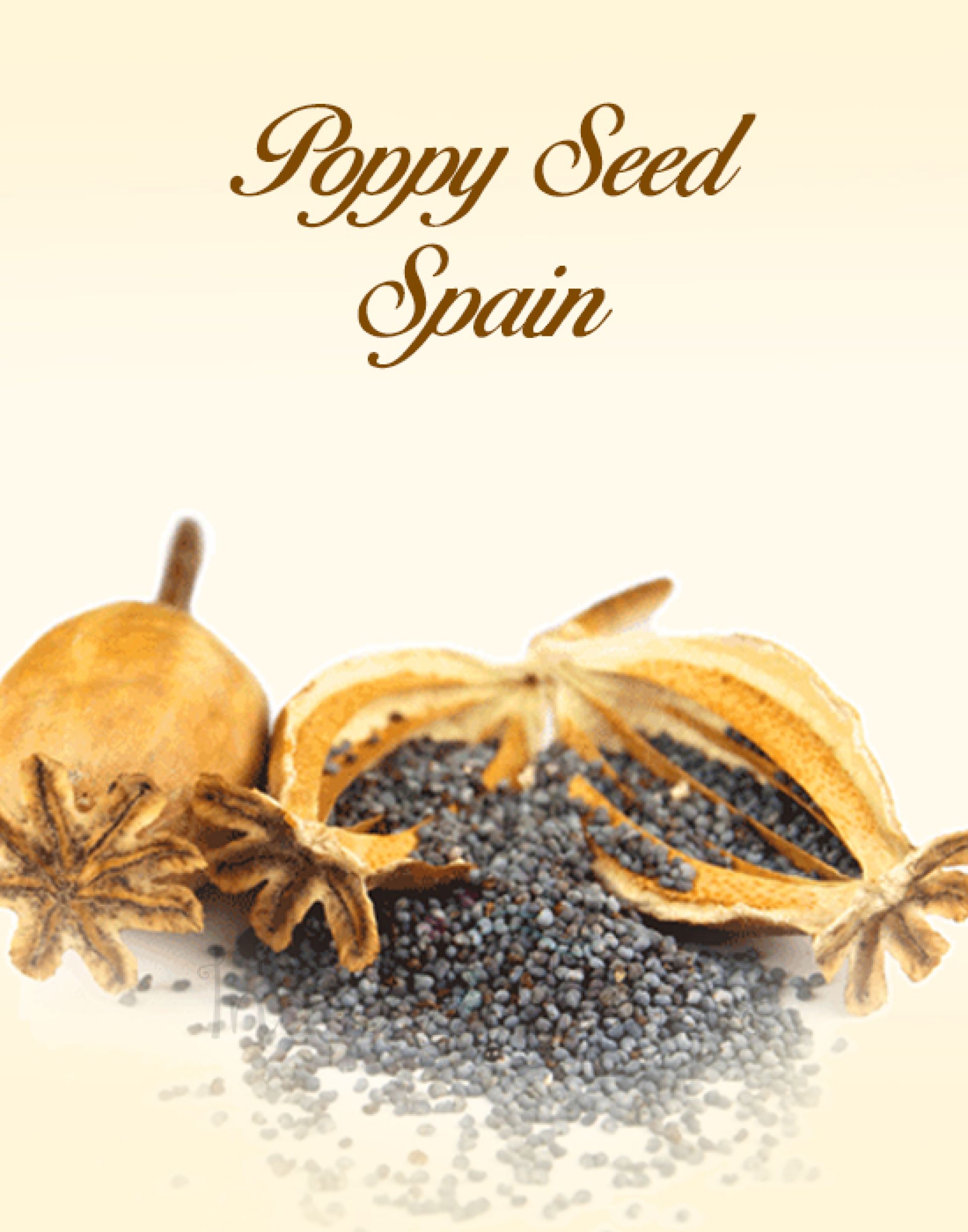 Poppy Seed Spain