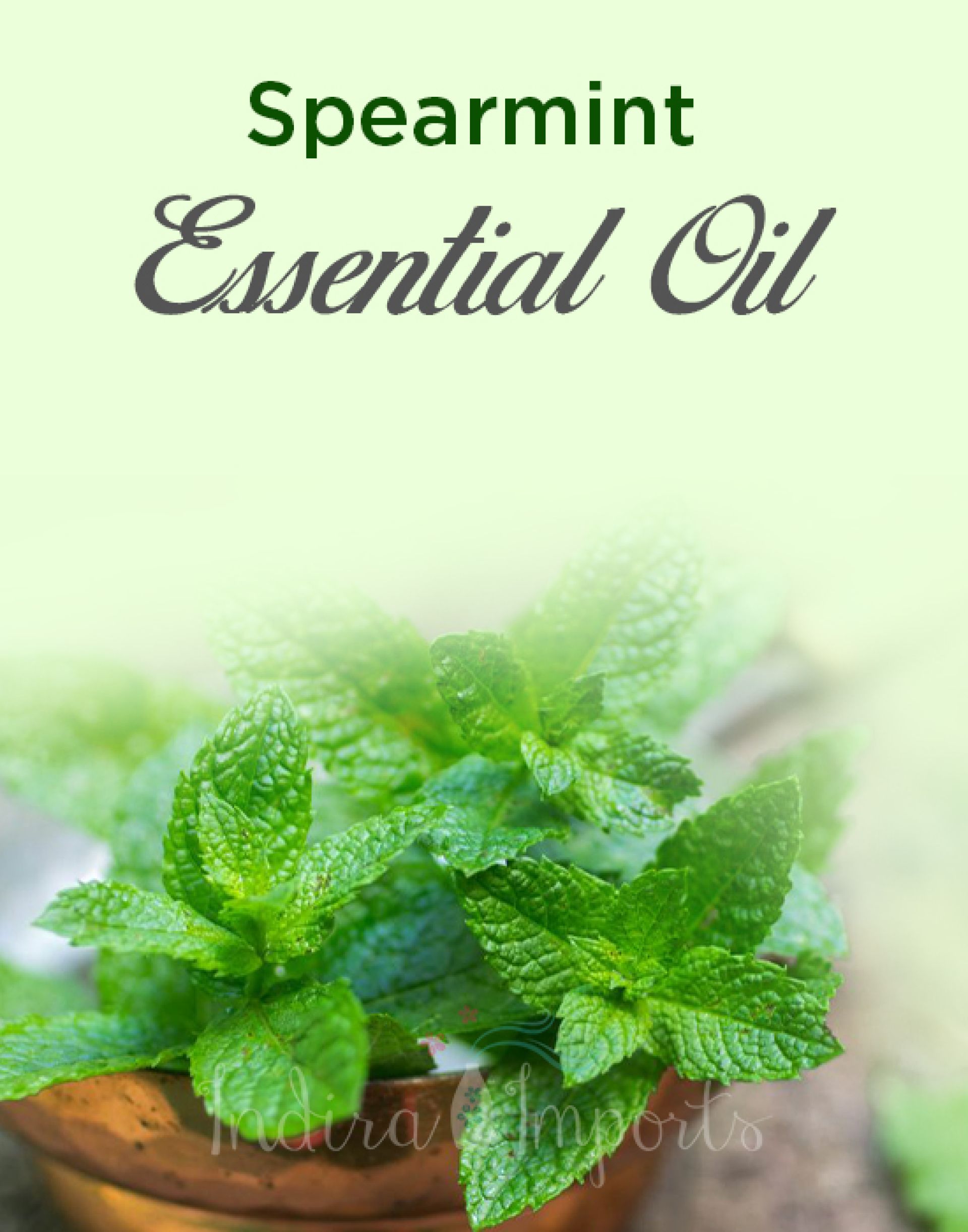 Spearmint Essential Oil