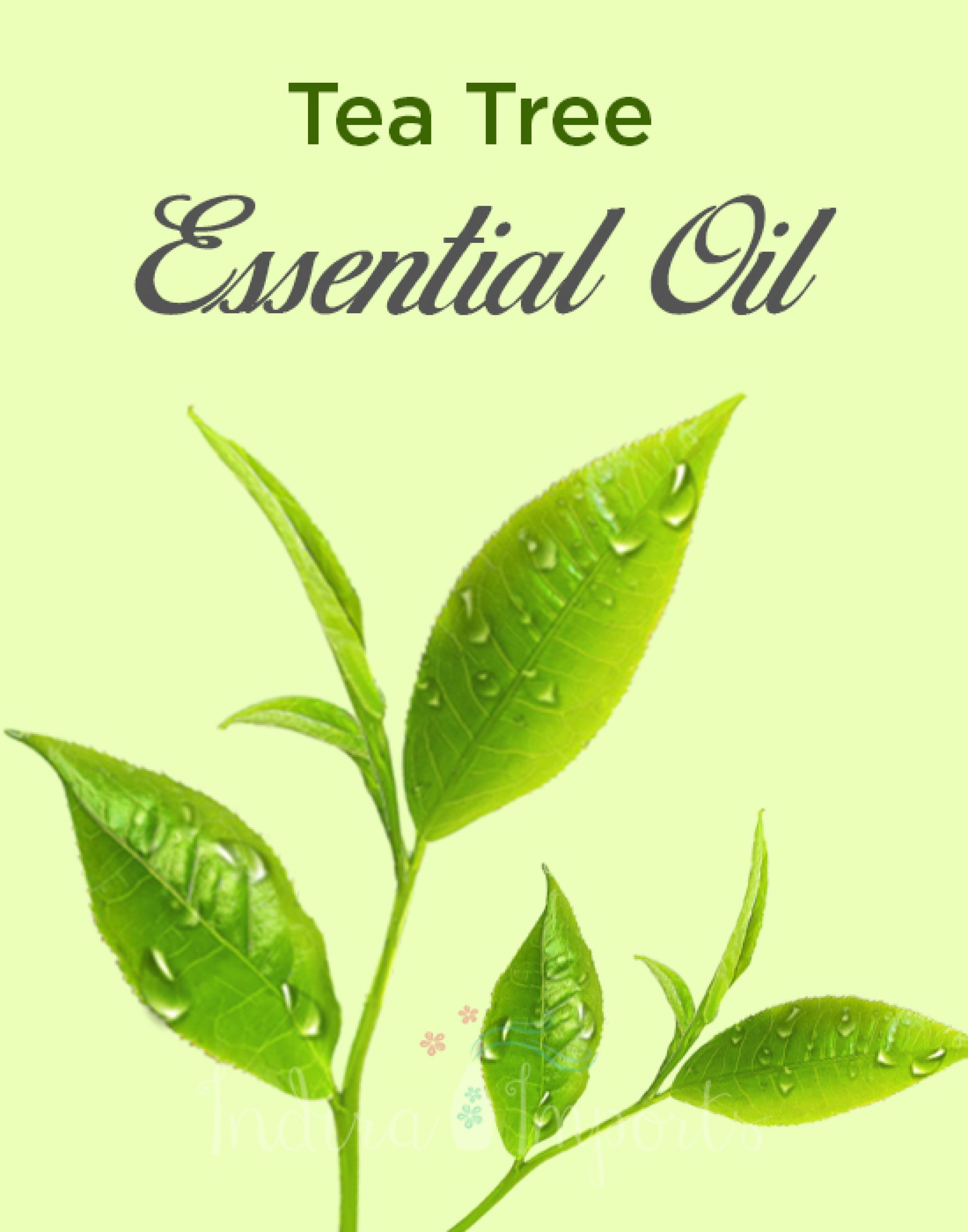 Tea Tree Essential Oil