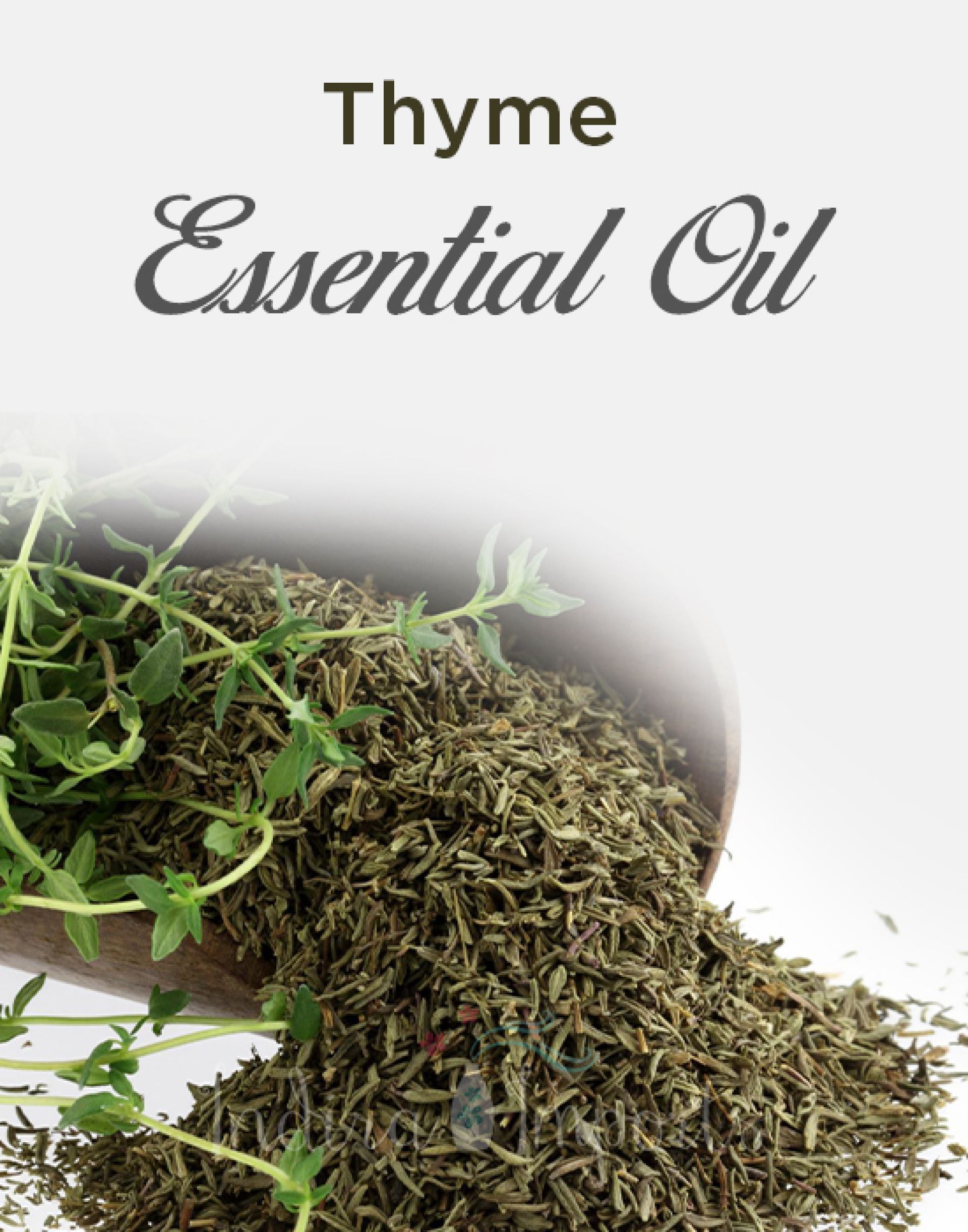 Thyme Essential Oil